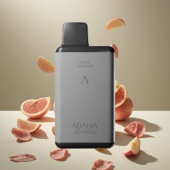 Adalya AD 10000 二つのりんご ジャパン まとめ買い スペースグレー USB-C 650mAh